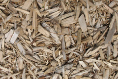 biomass boilers Lidstone