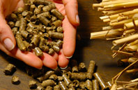 free Lidstone biomass boiler quotes