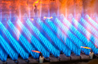 Lidstone gas fired boilers